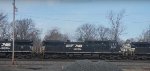 NS 4431